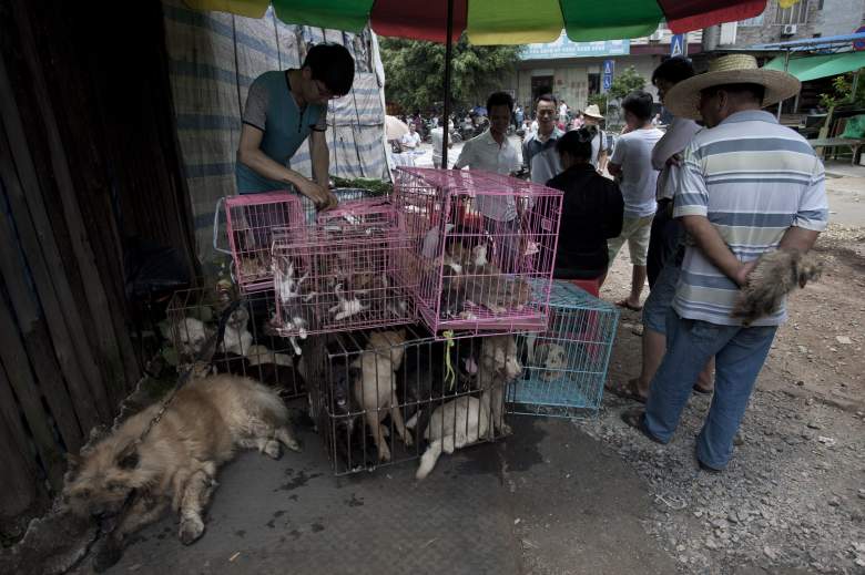 Yulin