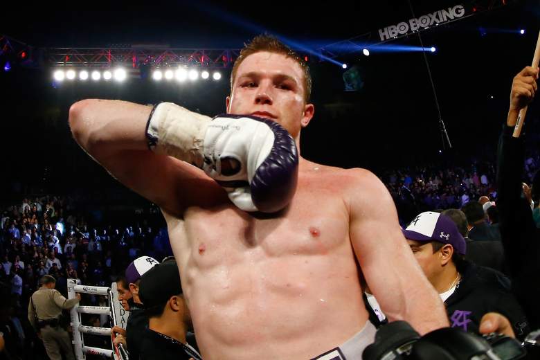 Miguel Cotto vs Canelo Álvarez Fotos, Miguel Cotto vs Canelo Álvarez resultado, Miguel Cotto vs Canelo Álvarez quien gano, Miguel Cotto vs Canelo Álvarez pelea, Miguel Cotto vs Canelo Álvarez imagenes