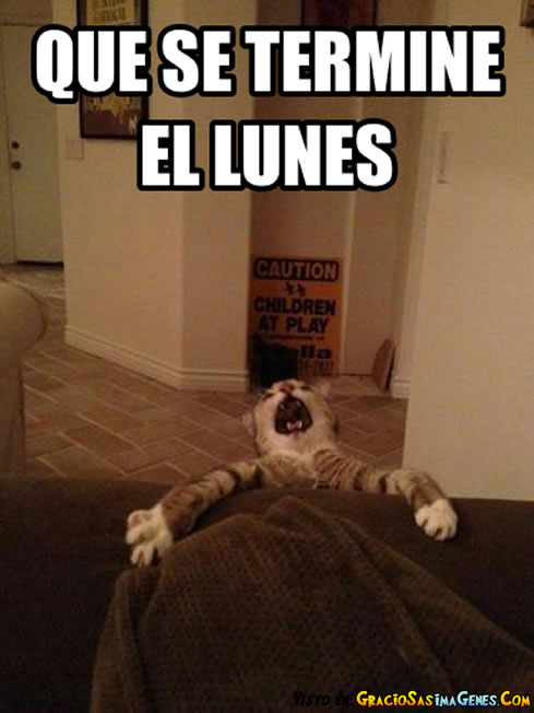 chistes de lunes, memes de lunes