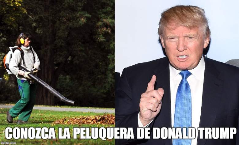 chistes del pelo de trump, memes pelo de trump