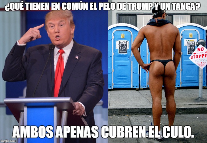 chistes del pelo de trump, memes pelo de trump