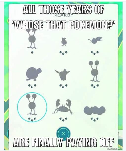 memes de pokemon go, memes en english pokemon