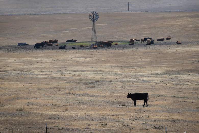 La población rural de Hugo, Colo., Está encontrando rastros de THC en su suministro de agua. (Getty)