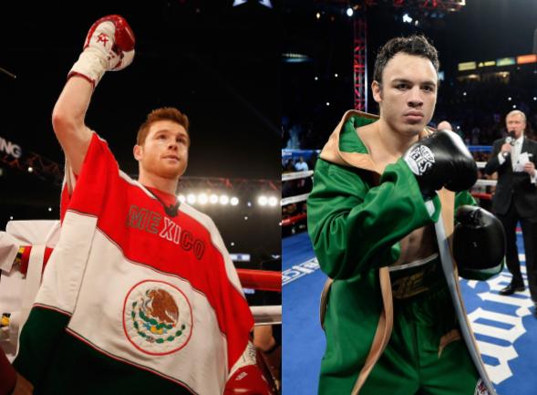 prediccion de pelea de canelo, proxima pelea de canelo alvarez, canelo predicciones