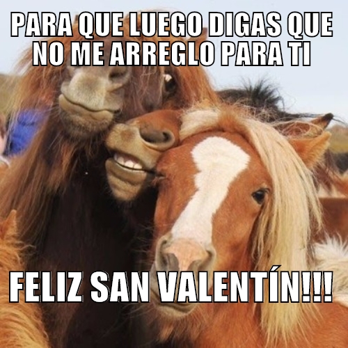 chistes del Día de San Valentín, memes Día de San Valentín