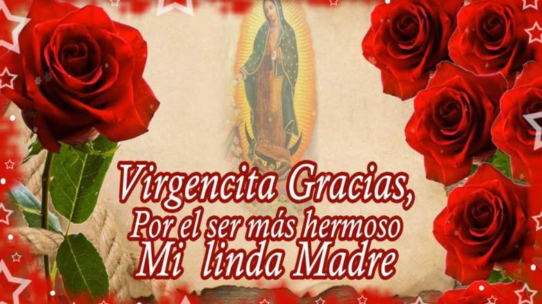 Virgen de Guadalupe 2018: Frases e imágenes para compartir