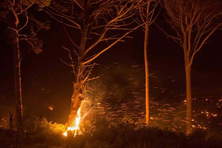 Se registra voraz incendio en Galveston, Texas: Videos