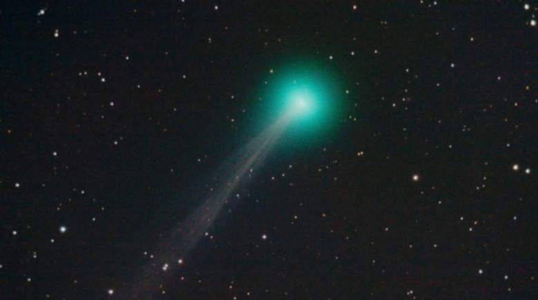 COMETA SWAN