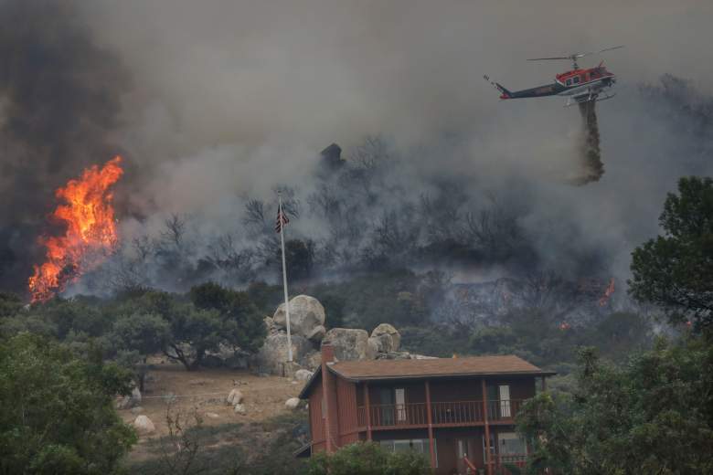 ¿Cómo ayudar a prevenir los incendios forestales?