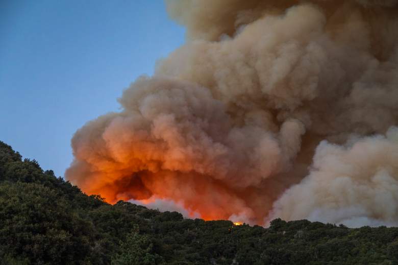 ¿Cómo ayudar a prevenir los incendios forestales?