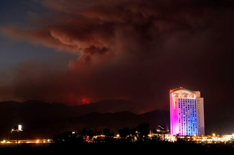 ¿Cómo ayudar a prevenir los incendios forestales?