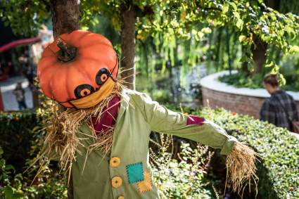 Halloween 2020: 5 películas ideales para disfrutar en familia