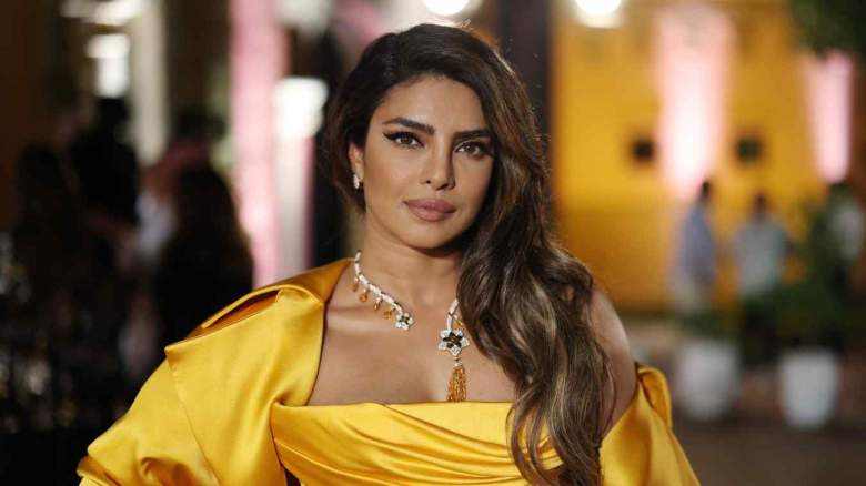 Priyanka Chopra habla de las críticas por su primer bebé