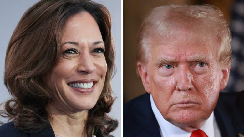 Kamala lidera a Trump en tres estados claves, según encuestas