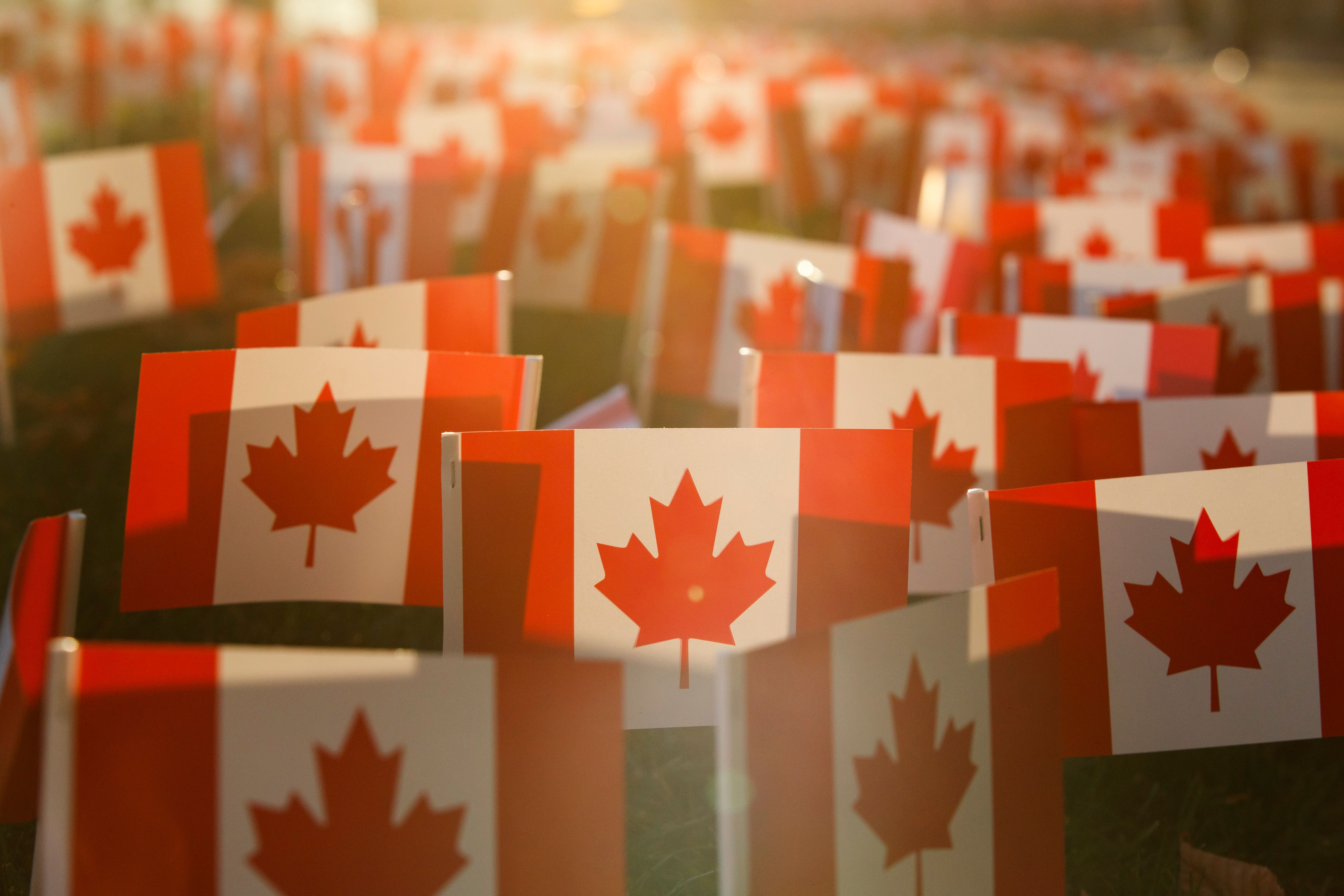 Miniature Canadian Flags on display