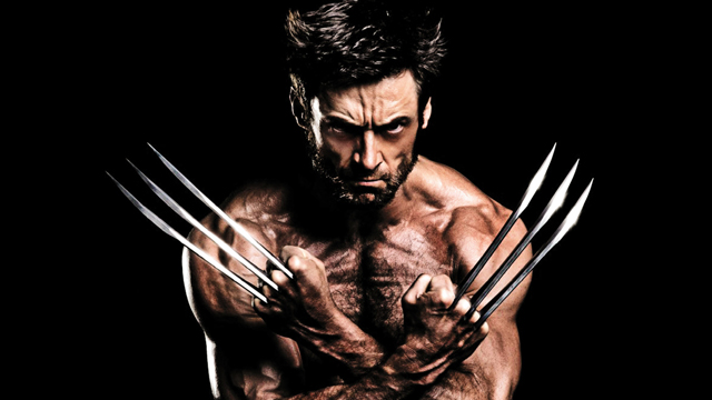 The Wolverine 2 