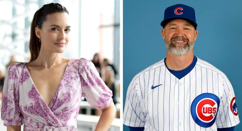 Torrey DeVitto, David Ross