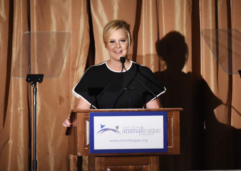 Amy Schumer Barbie, Amy Schumer Barbie doll, Barbie movie