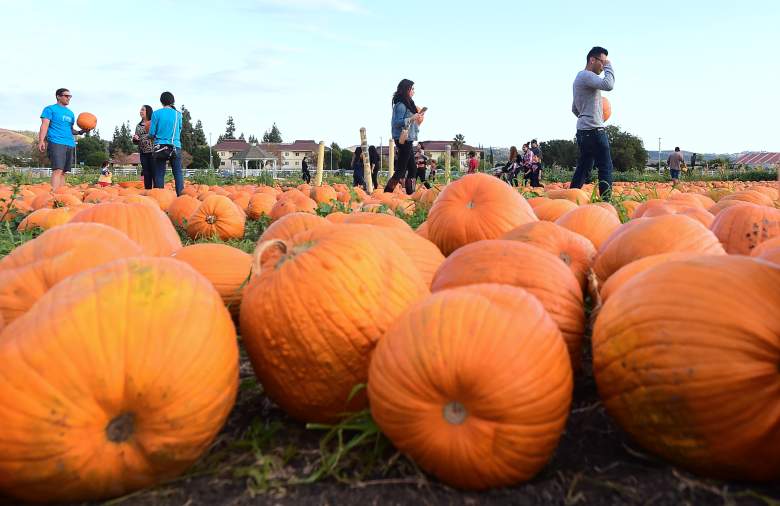 Halloween pumpkins, Halloween history, Halloween in the US