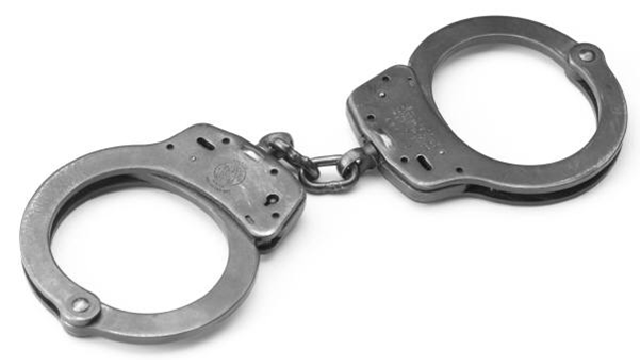 Whitney Houston FBI files released, fanatics, fandom, extortion