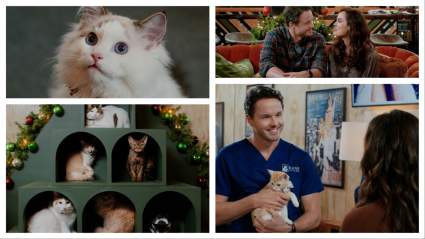 ¿Dónde se filmó "Navidad en el Catnip Cafe"? Ver historias y locaciones del elenco
