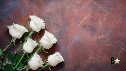 Fallece la actriz de 'Diff'rent Strokes' y llegan los homenajes