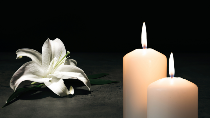 Fallece una querida estrella de TikTok de 78 años y sus fans le envían cariño.