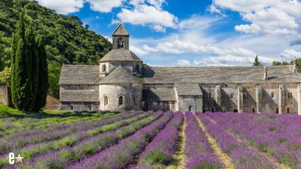 La ex estrella de 'Southern Charm' lleva a sus fans a un recorrido por el lugar de su boda de ensueño en el extranjero