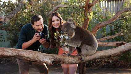 Estreno de 'A Melbourne Match' de Hallmark: resumen en directo y spoilers