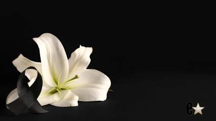 El icónico compositor de música country fallece a los 78 años y los homenajes llegan en masa