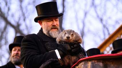 Día de la Marmota 2026: Punxsutawney Phil predice 6 semanas más de invierno