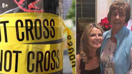 Exagentes del FBI afirman que el valiente video de Savannah Guthrie revela detalles alarmantes sobre la búsqueda de su madre.