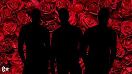 5 concursantes de 'The Bachelorette' que fueron eliminados demasiado pronto